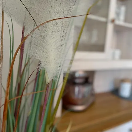 Strandbox & Strandresidenz * נורדרני