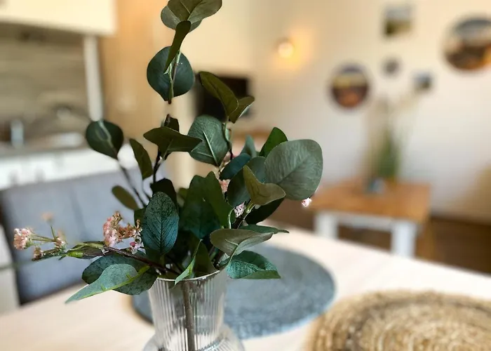 Appartement Strandbox & Strandresidenz *