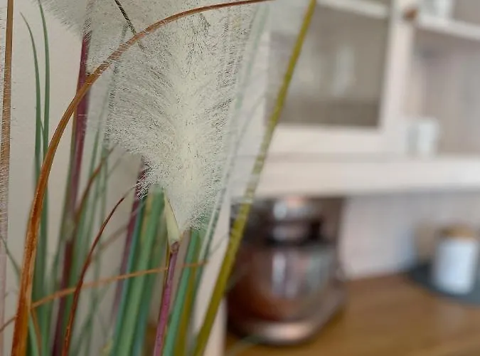 Strandbox & Strandresidenz * 노르데메이